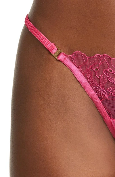 Shop Bluebella Astra Embroidered Mesh Thong In Fuchsia Pink