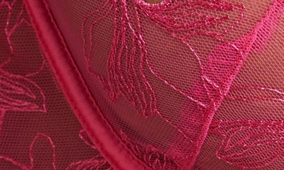 Shop Bluebella Astra Embroidered Underwire Bra In Fuchsia Pink