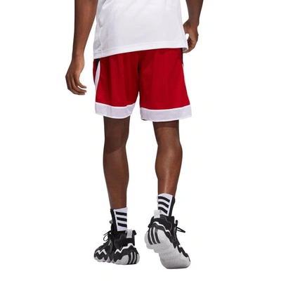 Shop Adidas Originals Adidas Red Nc State Wolfpack Swingman Aeroready Basketball Shorts