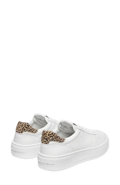 Shop Stuart Weitzman Courtside Sneaker In White/ Leopard Leather