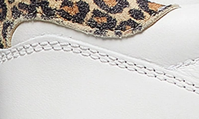 Stuart Weitzman Courtside Sneaker In White/ Leopard Leather