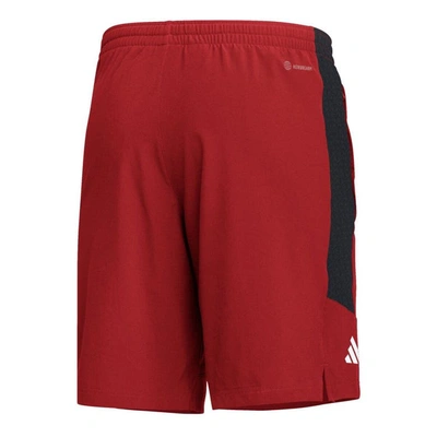 Shop Adidas Originals Adidas Crimson Indiana Hoosiers Aeroready Shorts