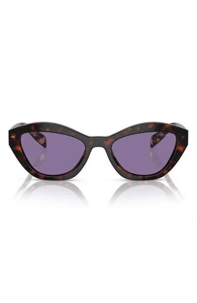 Prada Womens Brown Pr A02s Butterfly-frame Acetate Sunglasses In Havana