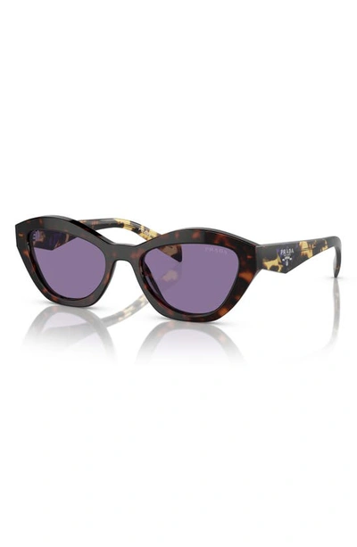 Prada Womens Brown Pr A02s Butterfly-frame Acetate Sunglasses In Havana