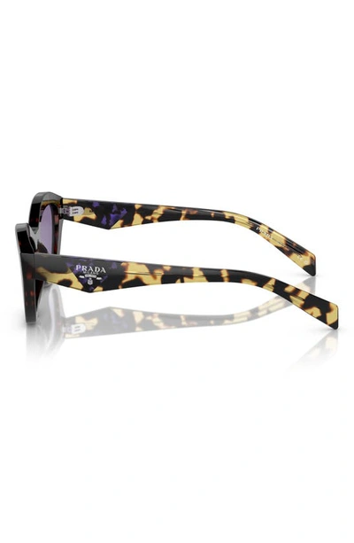 Prada Womens Brown Pr A02s Butterfly-frame Acetate Sunglasses In Havana