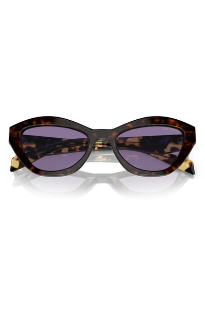 Prada Womens Brown Pr A02s Butterfly-frame Acetate Sunglasses In Havana