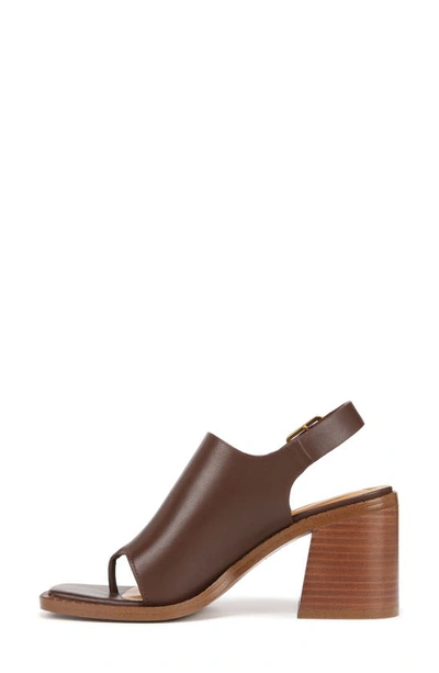 Shop Sarto By Franco Sarto Atlas Slingback Sandal In Brown