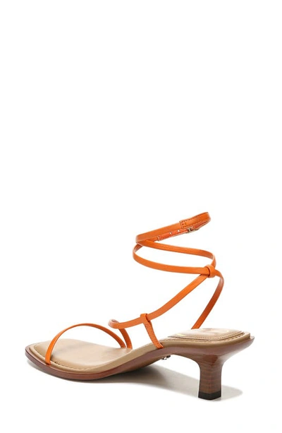 Shop Sam Edelman Dominique Leather Sandal In Classic Orange