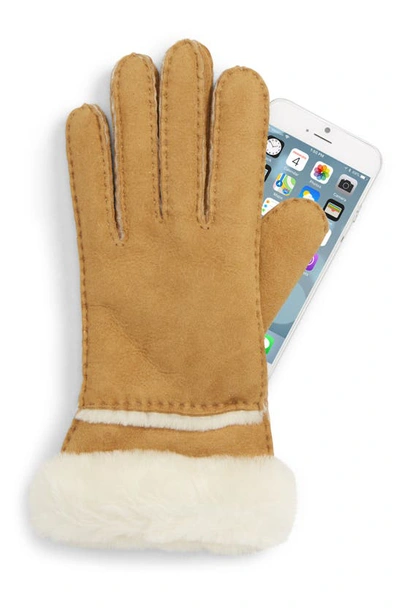 Shop Ugg Seamed Touchscreen Compatible Genuine Shearling Gloves In Chestnut