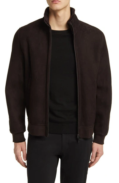 Shop Theory Marco Genuine Shearling Jacket In Mink