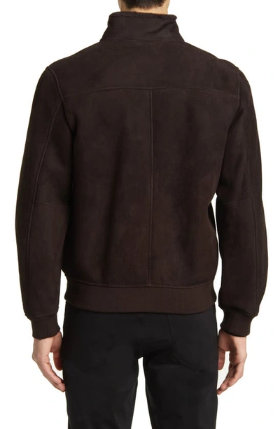 Shop Theory Marco Genuine Shearling Jacket In Mink