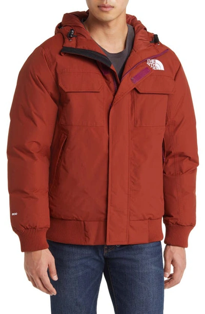 Shop The North Face Mcmurdo Water Repellent 600 Fill Power Down Parka With Faux Fur Trim In Brandy Brown