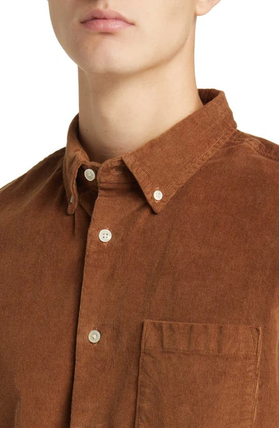 Shop Nordstrom Tech-smart Trim Fit Stretch Cotton Button-down Shirt In Brown Partridge