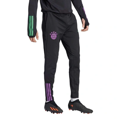 Shop Adidas Originals Adidas Black Bayern Munich 2023/24 Aeroready Training Pants