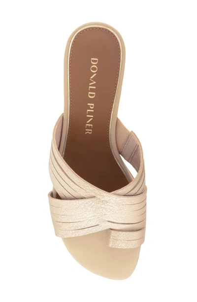 Shop Donald Pliner Alannis Slide Sandal In Pale Gold