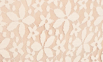 Wacoal Halo Lace Briefs In Naturally Nude