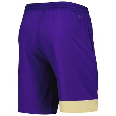 Shop Adidas Originals Adidas Purple Washington Huskies Training Shorts