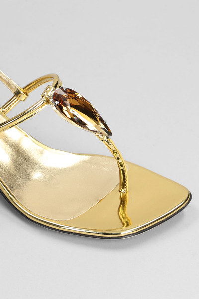 Shop Giuseppe Zanotti Anthonia Sandals In Gold Synthetic Leather