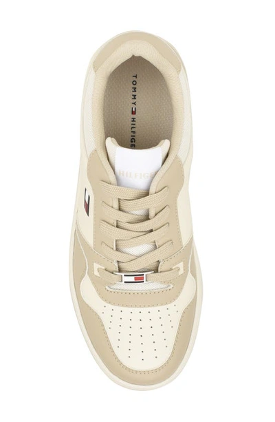 Tommy Hilfiger Twigye Sneaker In Taupe