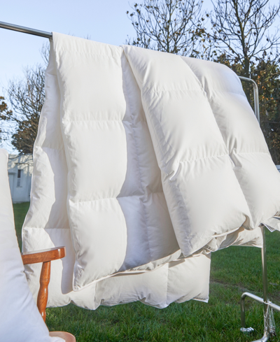 Royal Elite 400 Thread Count Pure Cotton Shell Luxurious Down Alternative Comforter, Full/queen In White