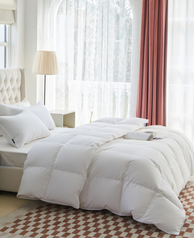 Shop Royal Elite 400 Thread Count Pure Cotton Shell Luxurious Down Alternative Comforter, King In White