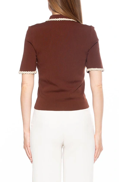 Shop Alexia Admor Collared Knit Short Sleeve Top In Brown