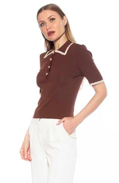 Shop Alexia Admor Collared Knit Short Sleeve Top In Brown