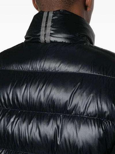 Shop Canada Goose Men Black Label Crofton Vest In 61 Black
