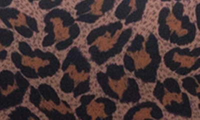 Shop Goddess Kayla Briefs In Dark Leopard