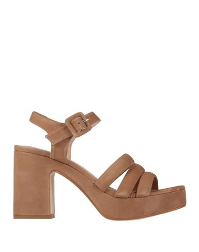 Shop Zinda Woman Sandals Camel Size 8 Leather In Beige