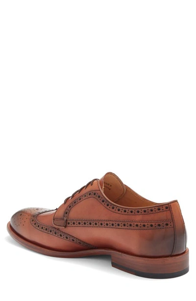 Shop Curatore Massa Wingtip Leather Derby Shoe In Tan