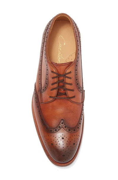 Shop Curatore Massa Wingtip Leather Derby Shoe In Tan