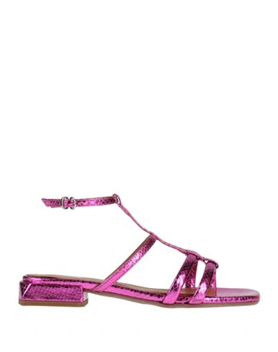 Shop Lorenzo Mari Woman Sandals Fuchsia Size 8 Leather In Pink