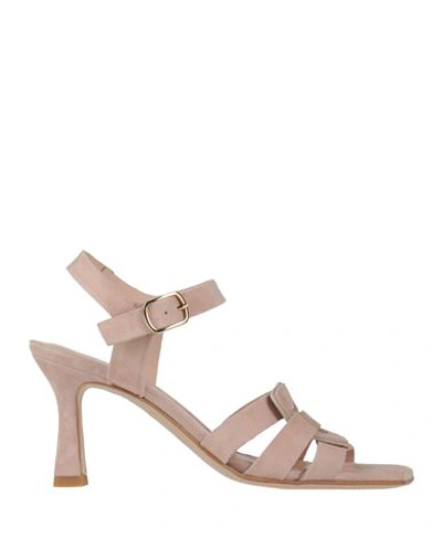 Shop Zinda Woman Sandals Blush Size 7 Leather In Pink
