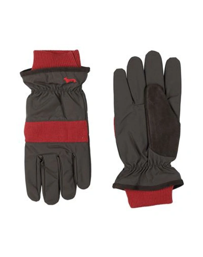 Harmont & Blaine Man Gloves Dark Brown Size Xxl Polyester In Brown