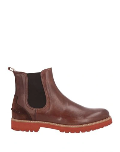 Pollini Man Ankle Boots Brown Size 12 Leather In Brown