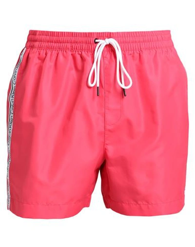 Shop Calvin Klein Man Swim Trunks Fuchsia Size L Polyester In Pink