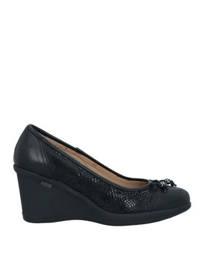 Shop Nero Giardini Woman Pumps Black Size 7 Leather