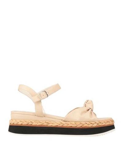 Shop Gioseppo Woman Sandals Beige Size 6.5 Calfskin