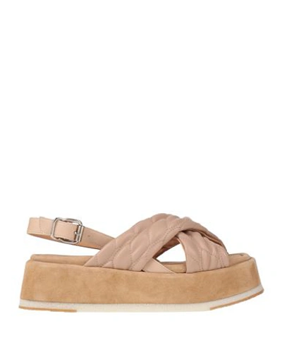 Shop Laura Bellariva Woman Sandals Blush Size 7.5 Calfskin, Textile Fibers In Pink