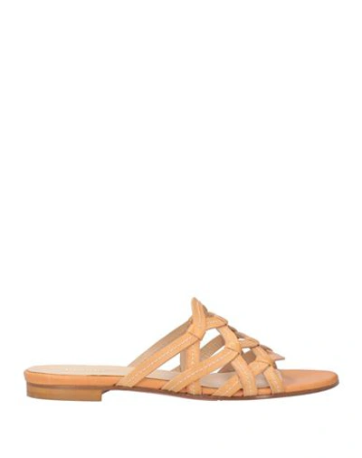 Shop Baldinini Woman Sandals Sand Size 8 Cowhide In Beige
