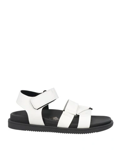 Baldinini Man Sandals Off White Size 13 Leather In Off White