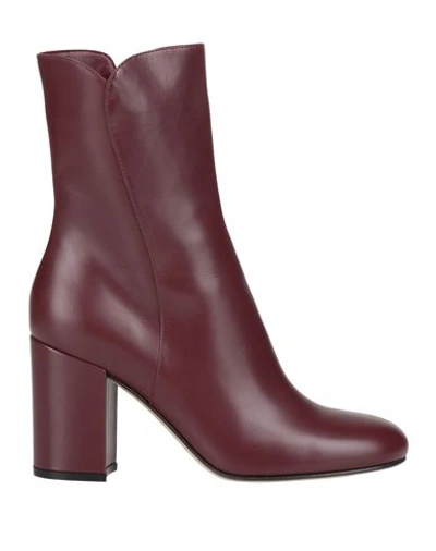Shop Gianvito Rossi Woman Ankle Boots Burgundy Size 8 Leather In Red