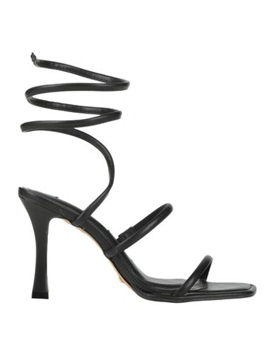 Shop Cecconello Woman Sandals Black Size 7 Leather