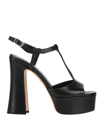 Shop Ncub Woman Sandals Black Size 7 Leather