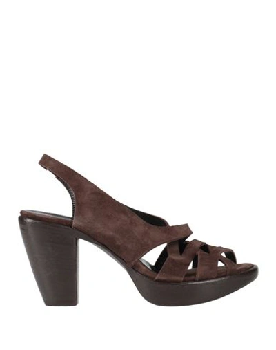 Shop Rocco P . Woman Sandals Dark Brown Size 10.5 Leather