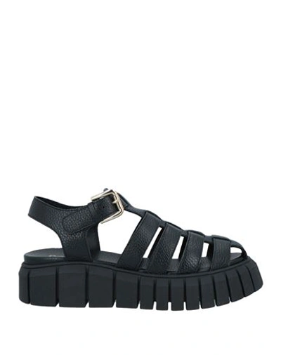 Shop Pollini Woman Sandals Black Size 8 Leather