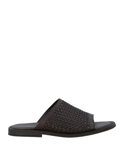 Baldinini Man Sandals Dark Brown Size 12 Leather In Brown