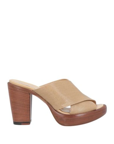Shop Rocco P . Woman Sandals Beige Size 7.5 Leather