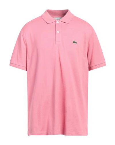 Shop Lacoste Man Polo Shirt Pink Size 8 Cotton, Elastane
